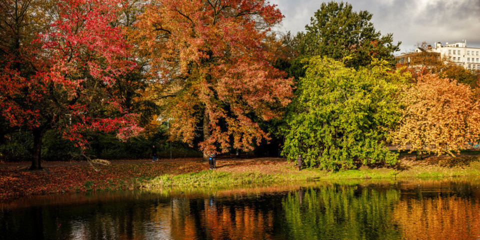Park in herfstkleuren